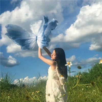 野菊之墓 海报